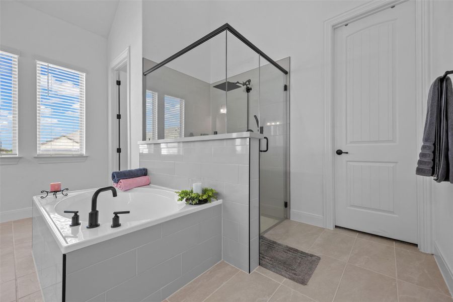 Garden tub and separate shower Garden tub and separate shower