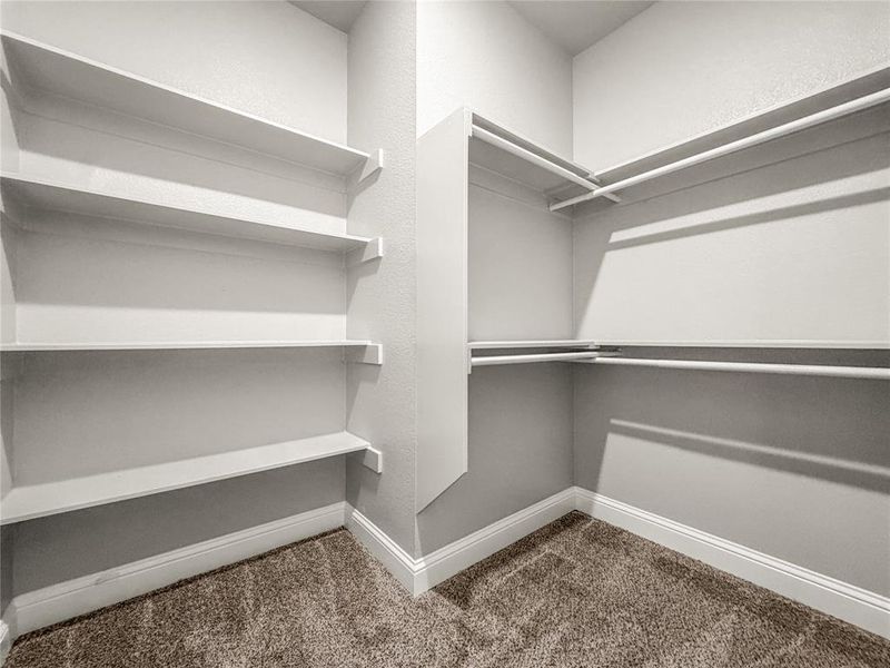 Spacious walk-in closet featuring multiple shelving units, dual-tier hanging rods, neutral wall color, white trim, and plush carpeting Spacious walk-in closet featuring multiple shelving units, dual-tier hanging rods, neutral wall color, white trim, and plush carpeting