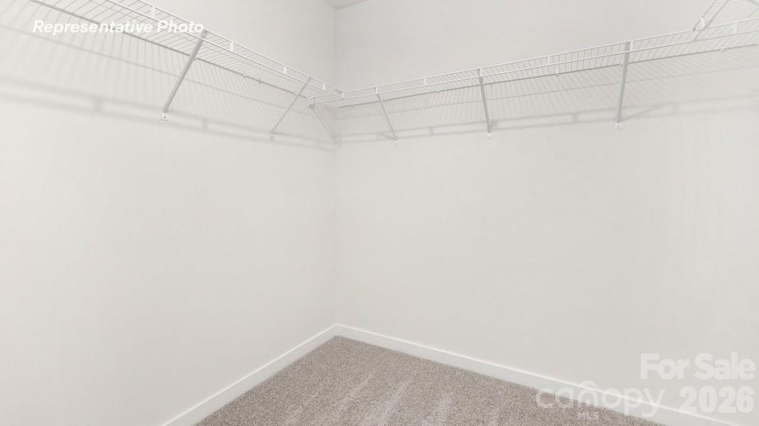 Spacious, unfurnished interior of a new home in Reedy Creek Preserve, Charlotte (Image 13).