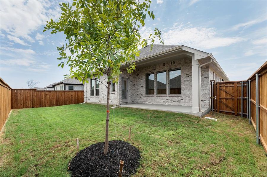 25_14498 Herschel, Pilot Point 25_14498 Herschel, Pilot Point