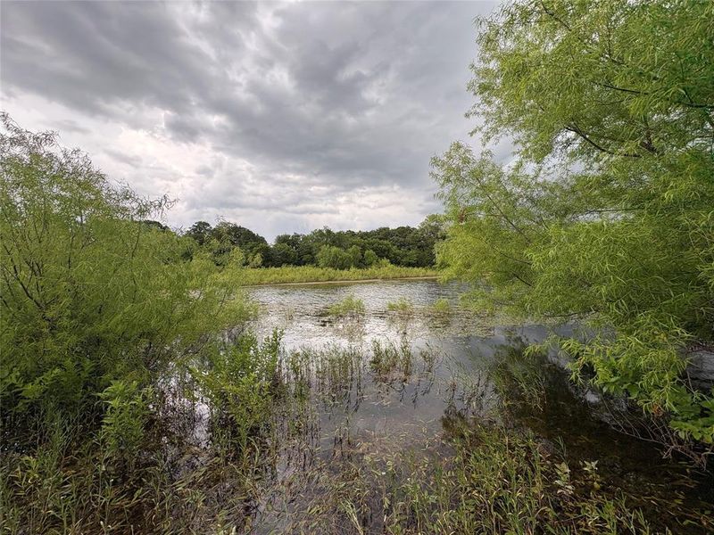 Natural landscape and outdoor views near Freeman Ranch in Weatherford (Image 20).