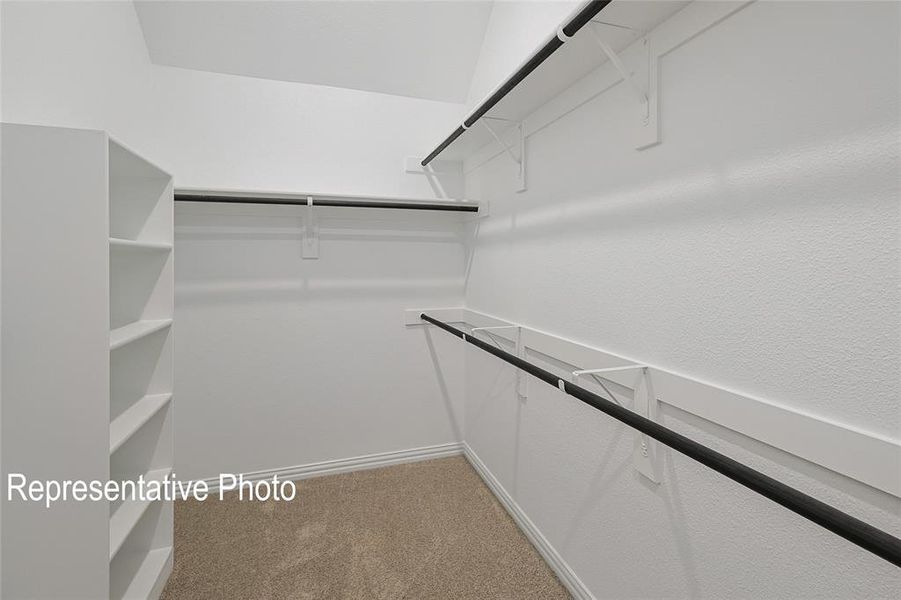 Walk in closet with light colored carpet