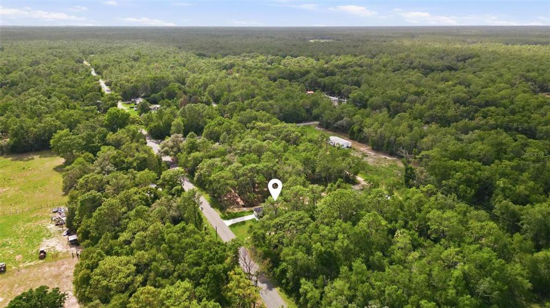 Natural landscape and outdoor views near  in Crystal River (Image 27).