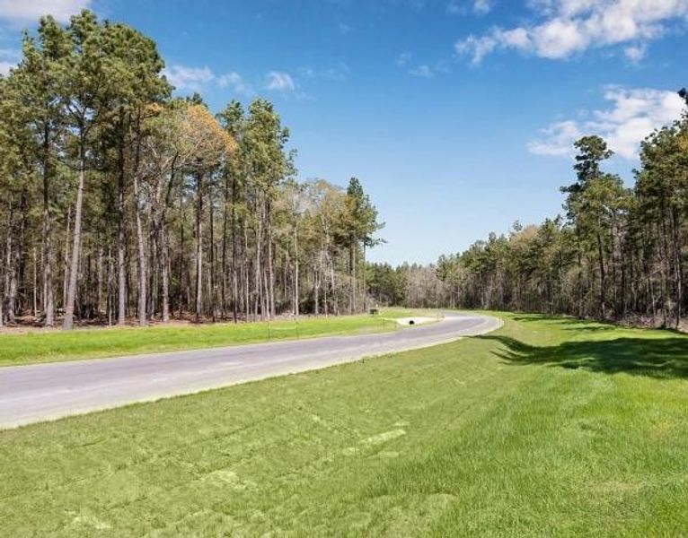 Aerial view of neighborhood