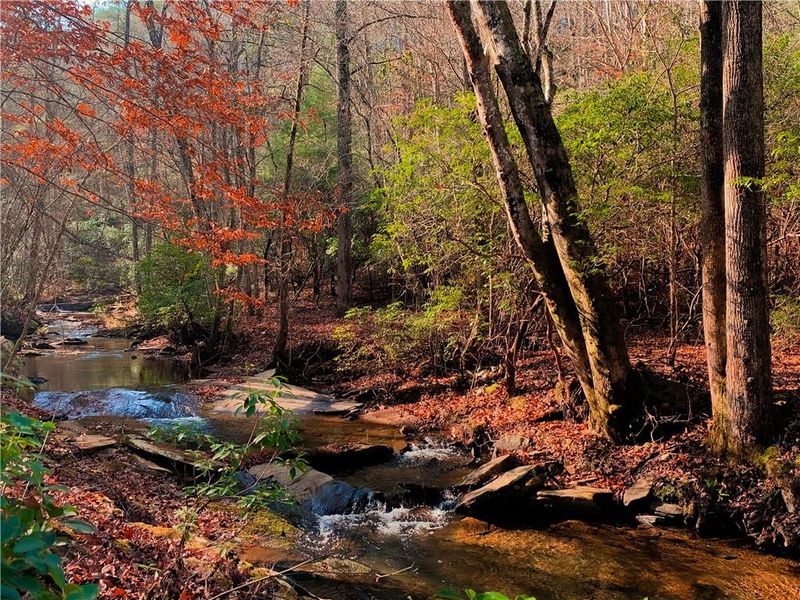 Natural landscape and outdoor views near  in Talking Rock (Image 51).