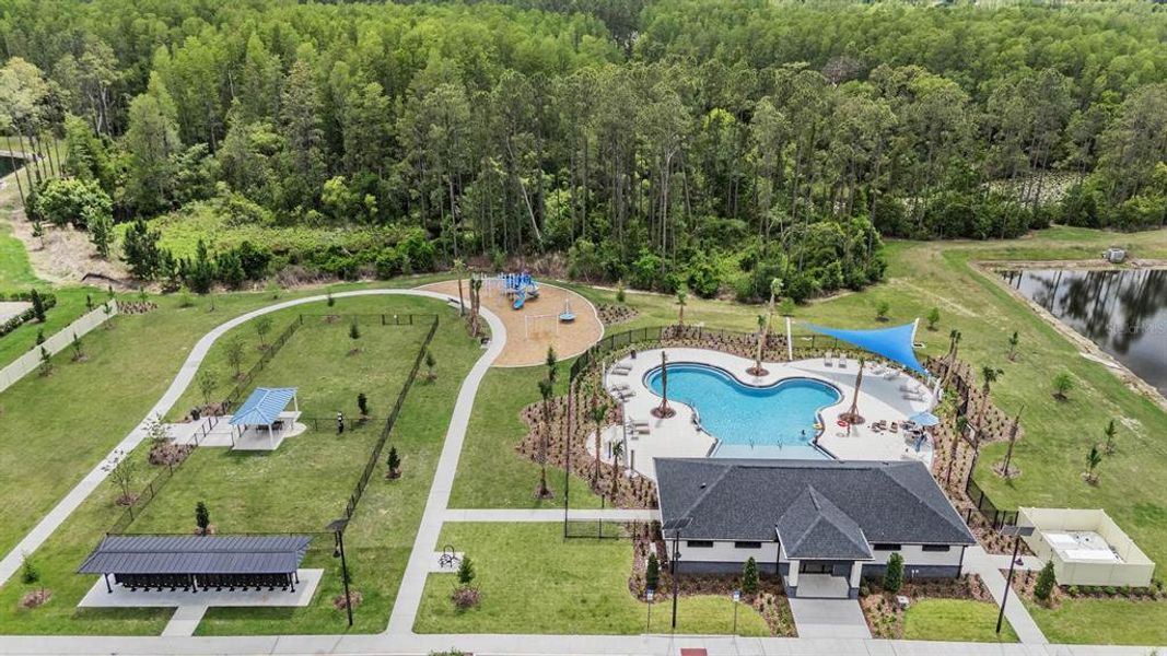 Community amenities in Deerbrook, Land O' Lakes (Image 29).