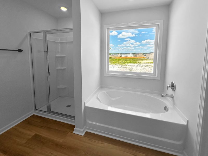 Furnished interior view inside a new home in Doctor's Creek, Ludowici (Image 8).