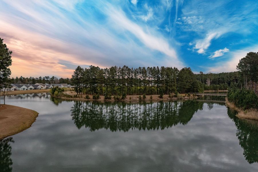 Natural landscape and outdoor views near Jasmine Point at Lakes of Cane Bay in Summerville (Image 50).