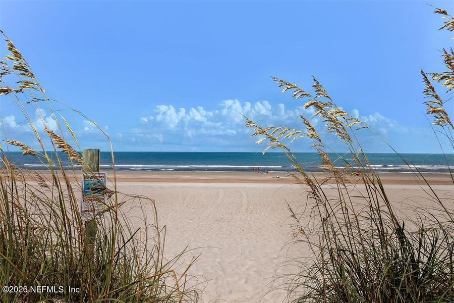 Natural landscape and outdoor views near in Fernandina Beach (Image 4). Natural landscape and outdoor views near in Fernandina Beach (Image 4).