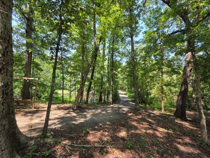 Natural landscape and outdoor views near  in Santee (Image 34).