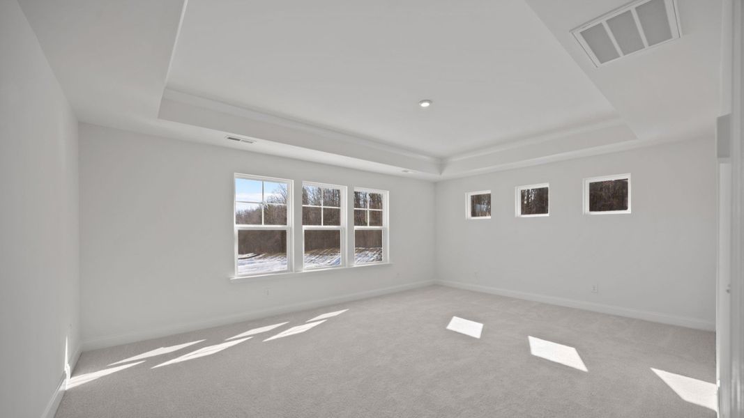 The Burton Plan in Farms at Bellingham by DRB Homes in Charlotte NC - Primary Bedroom