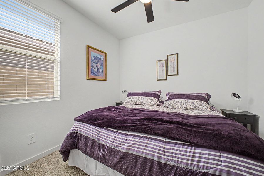 30 - Desert Hollow 16014 30 - Desert Hollow 16014