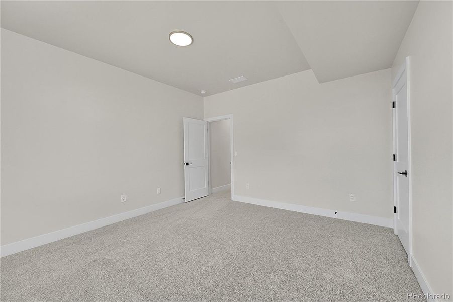 Lower level bedroom