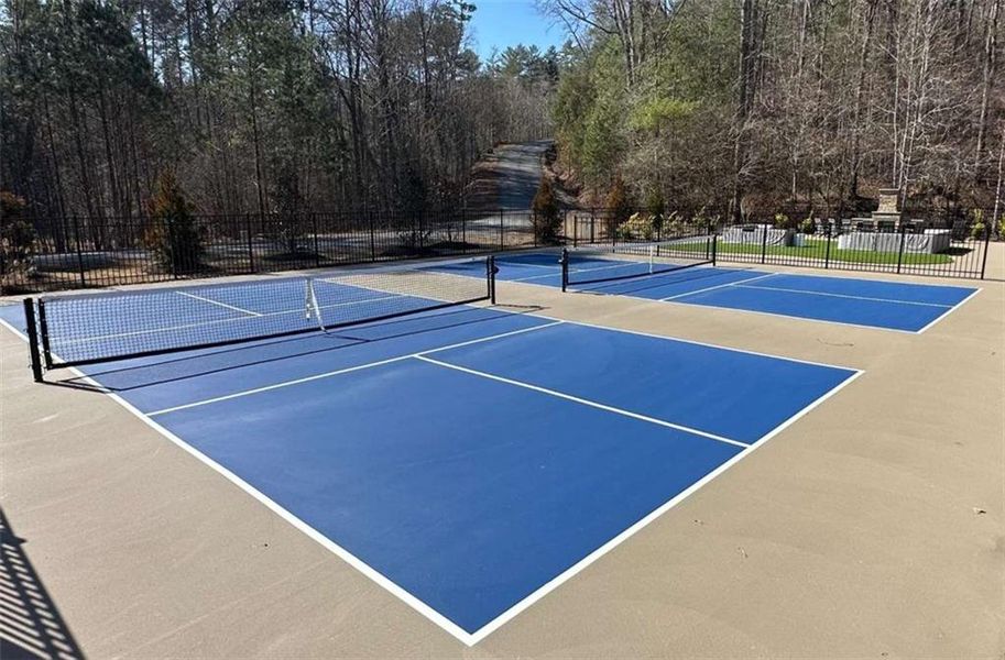 Community amenities in , Ellijay (Image 14).