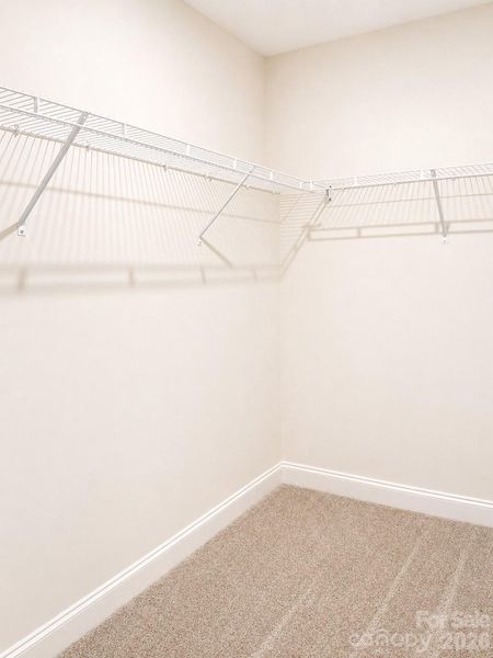 Spacious, unfurnished interior of a new home in , Salisbury (Image 20).