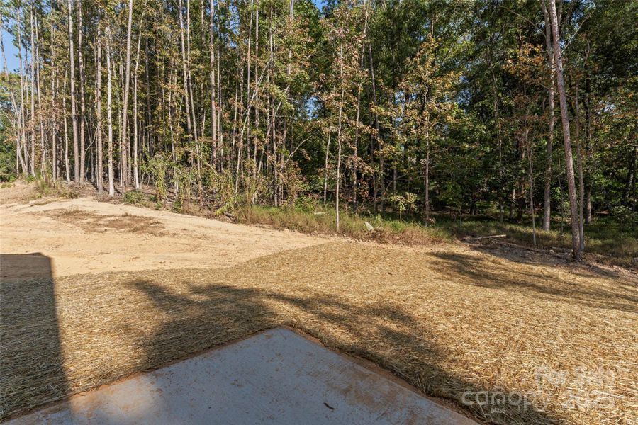 Natural landscape and outdoor views near  in Albemarle (Image 40).