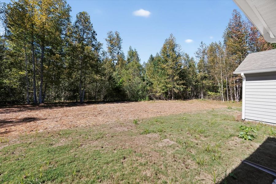 Image 45 of a home in Collier Grove.