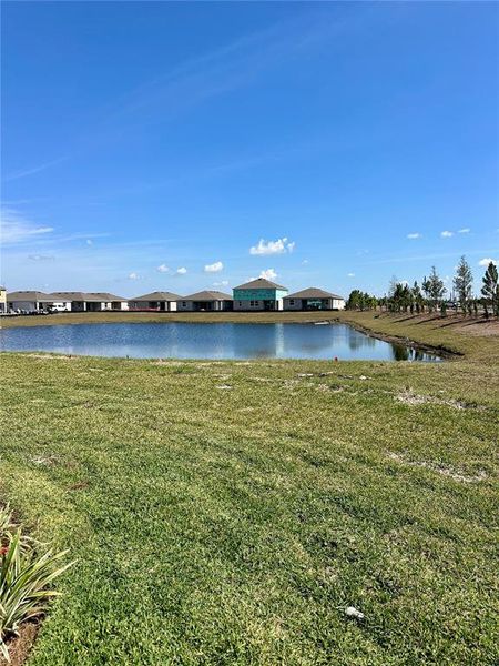 Natural landscape and outdoor views near Rye Ranch in Parrish (Image 17).
