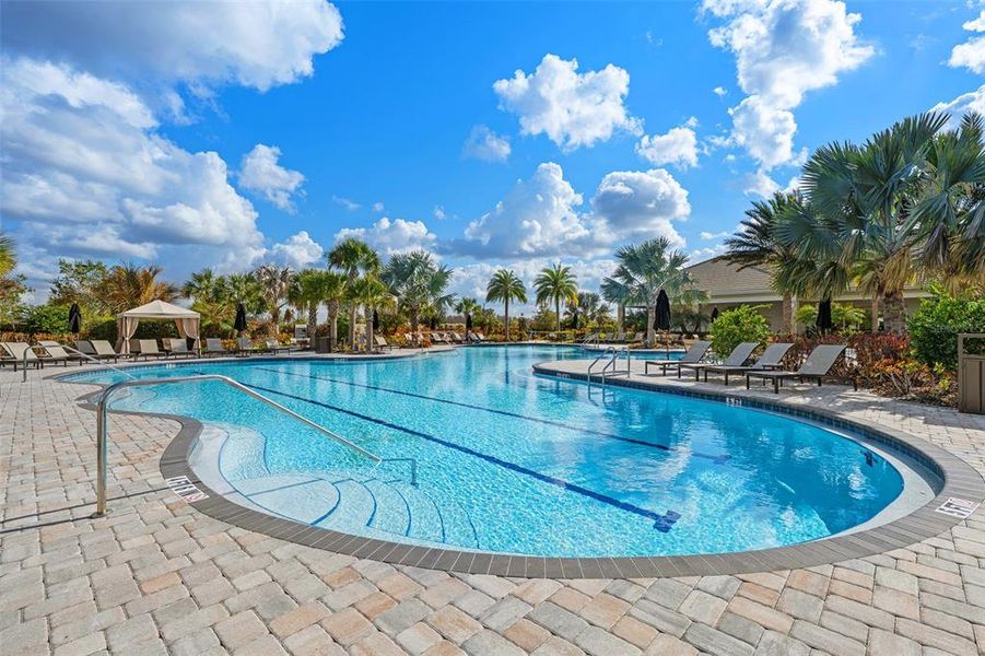 Community amenities in , Wesley Chapel (Image 53). Community amenities in , Wesley Chapel (Image 53).