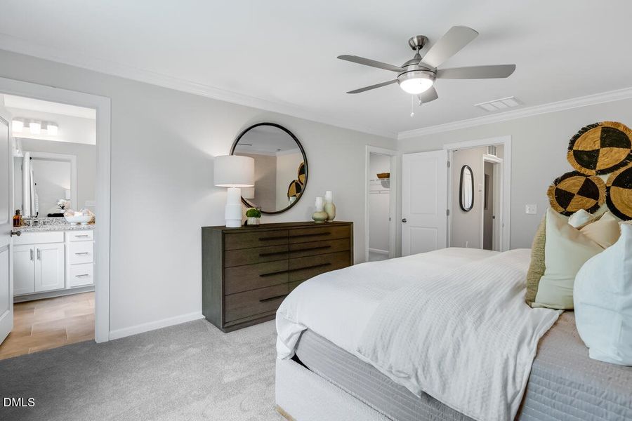 REPRESENTATIVE PHOTO