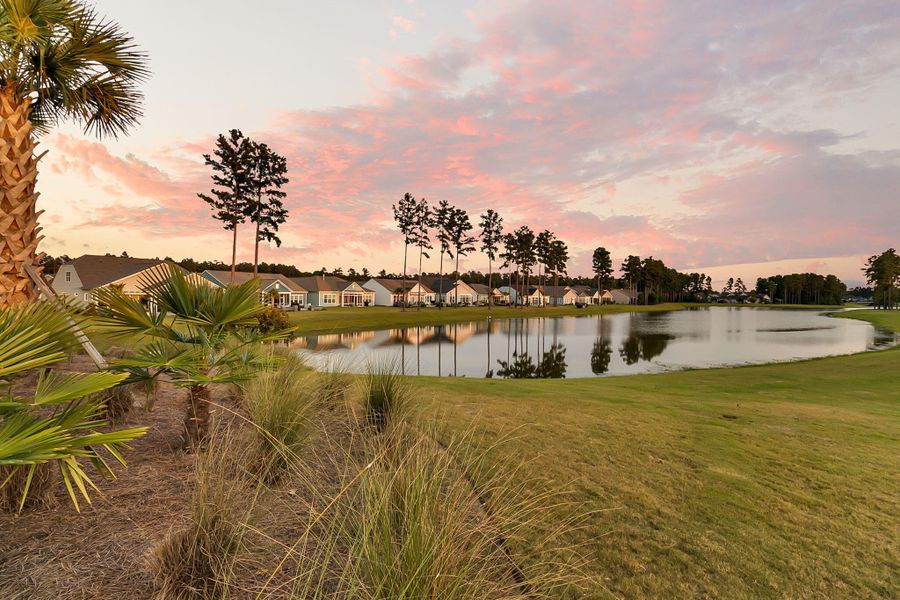 Natural landscape and outdoor views near  in Summerville (Image 83).