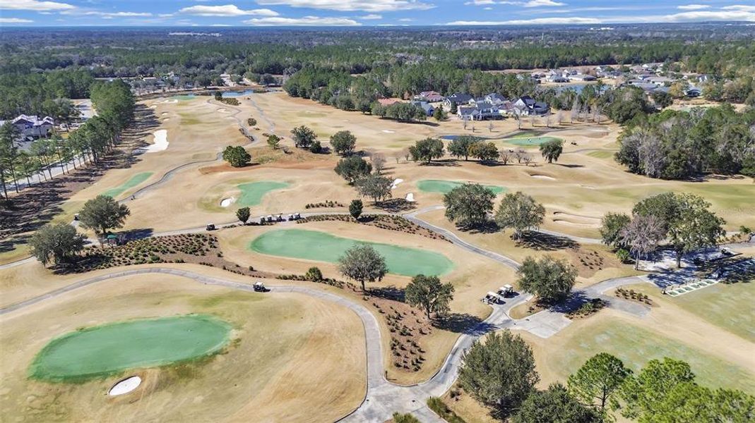 Site preparation for new homesites in Southern Hills Plantation, Brooksville (Image 37).