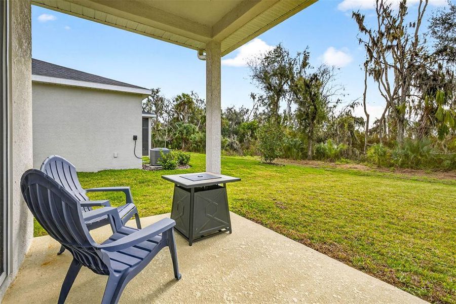 Exterior details and patio area of a home in Summerwoods, Parrish (Image 4).