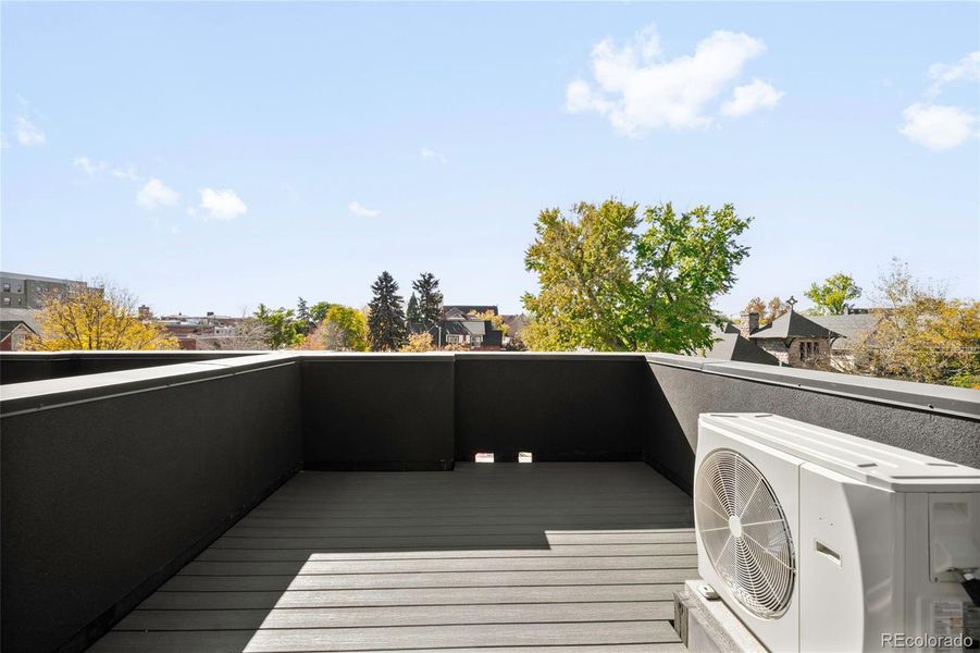 The rooftop deck offers a private outdoor escape with neighborhood views and space for open-air entertaining.