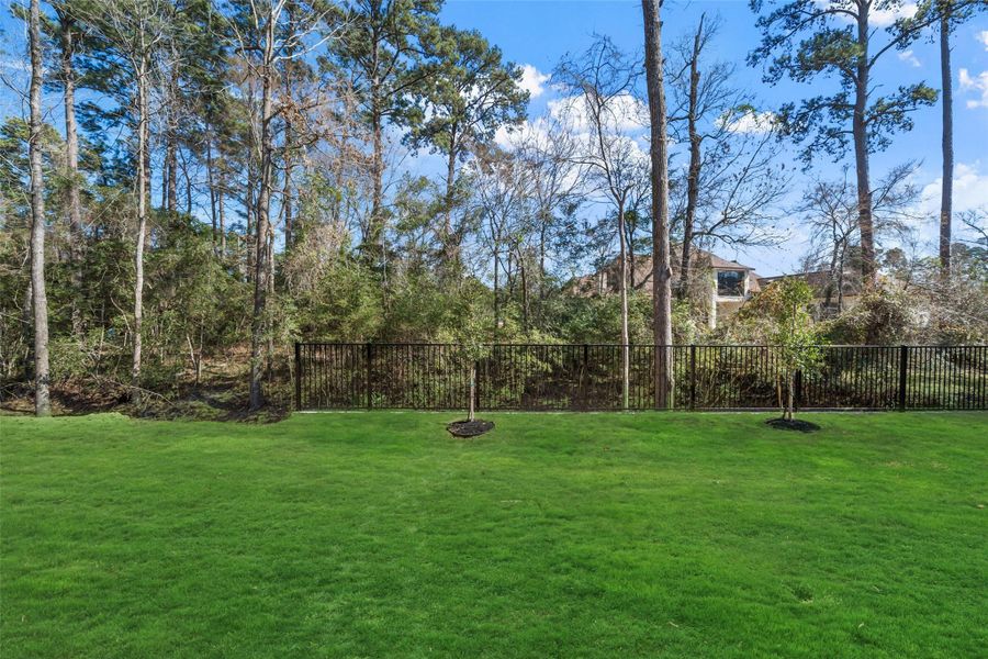 Natural landscape and outdoor views near  in Montgomery (Image 48).