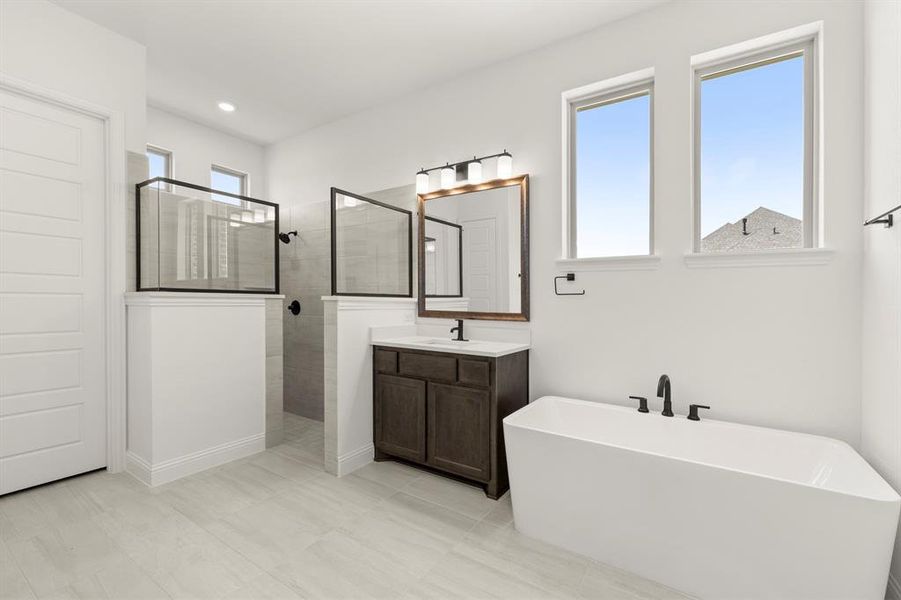 20. 409 Spoonbill - Bath (2)