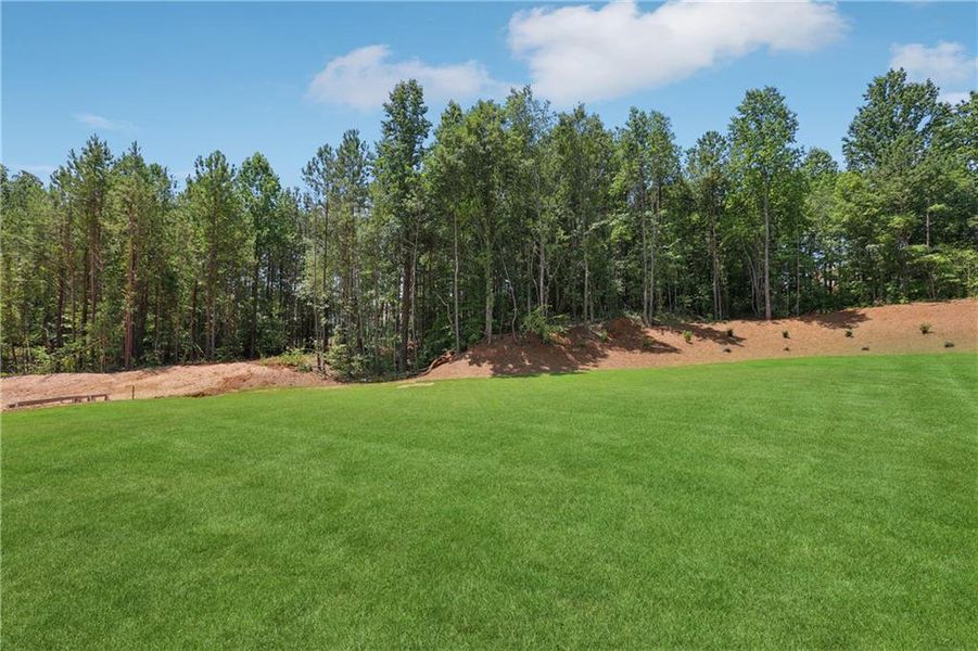 Natural landscape and outdoor views near  in Braselton (Image 133).
