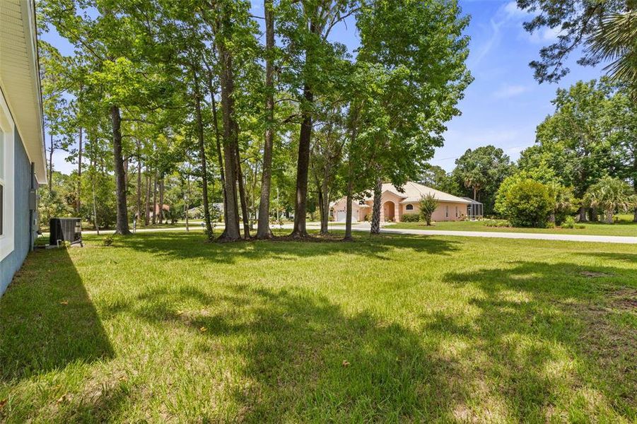 Natural landscape and outdoor views near in Palm Coast (Image 42). Natural landscape and outdoor views near in Palm Coast (Image 42).