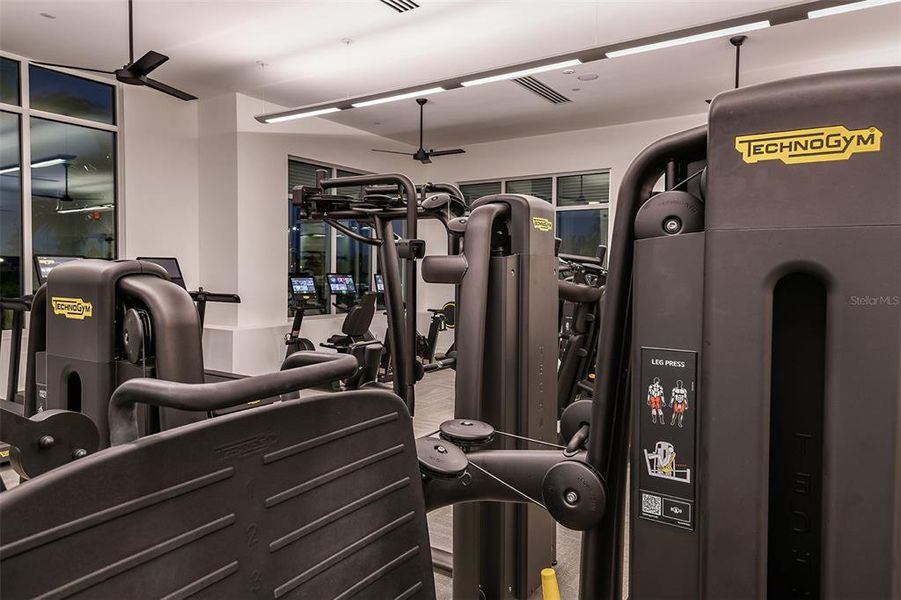 Community amenities in Esplanade at Wiregrass Ranch, Wesley Chapel (Image 42).