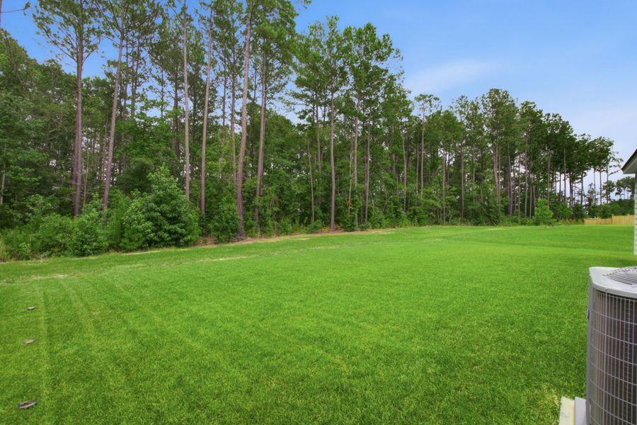 Natural landscape and outdoor views near in Moncks Corner (Image 56). Natural landscape and outdoor views near in Moncks Corner (Image 56).