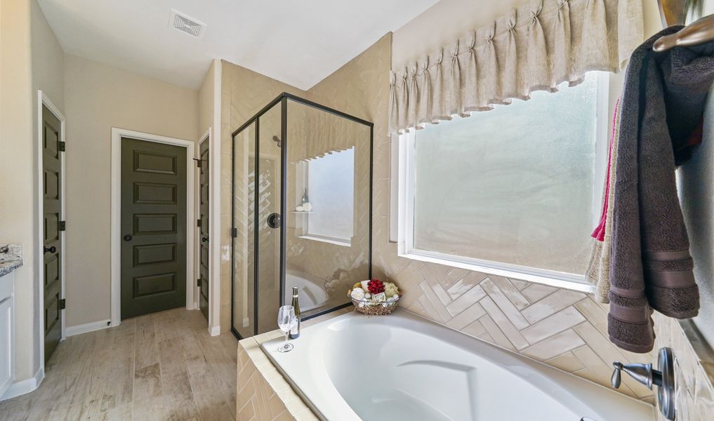 Owner's luxury bath with tub