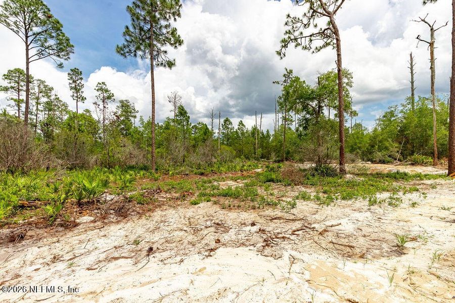 Natural landscape and outdoor views near  in Florahome (Image 30).