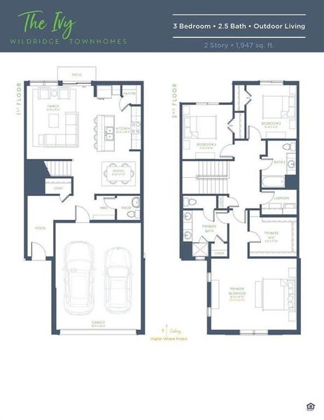 Ivy_ VS_2571_6.27.25 nonbranded_Page_1