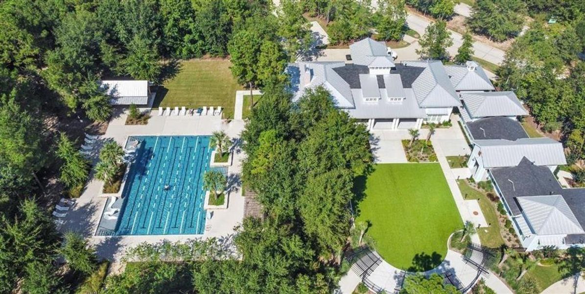 The Palm and Forest Island Fitness Pool