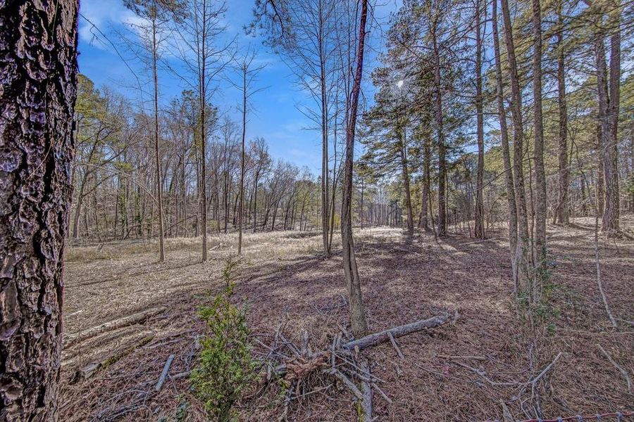 Natural landscape and outdoor views near  in Douglasville (Image 22).