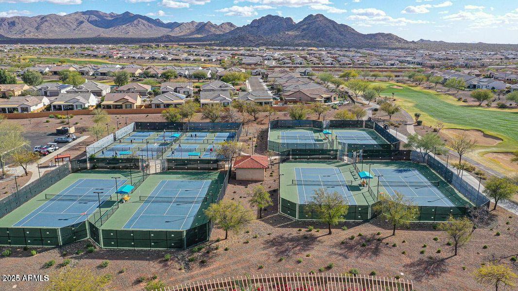 43 - Sun City Festival and Pickleball