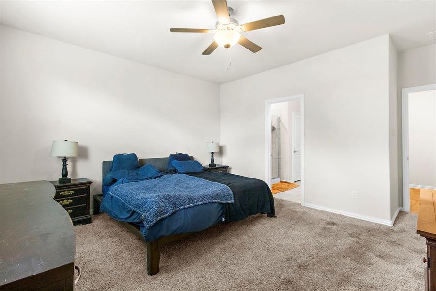 Bedroom with carpet and a ceiling fan Bedroom with carpet and a ceiling fan