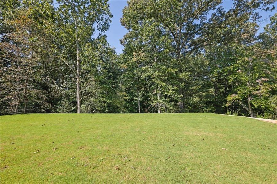 Natural landscape and outdoor views near  in Ellijay (Image 43).