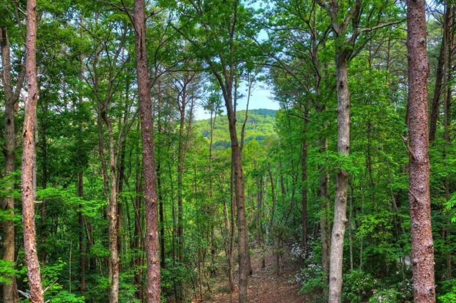 Natural landscape and outdoor views near  in Blue Ridge (Image 47).