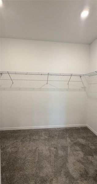 Spacious, unfurnished interior of a new home in Silverlake, Lake Alfred (Image 20). Spacious, unfurnished interior of a new home in Silverlake, Lake Alfred (Image 20).