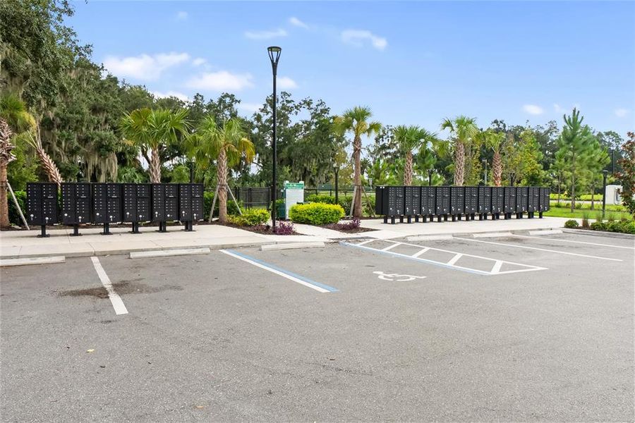 Community amenities in Salt Meadows - Classic Series, Parrish (Image 42).