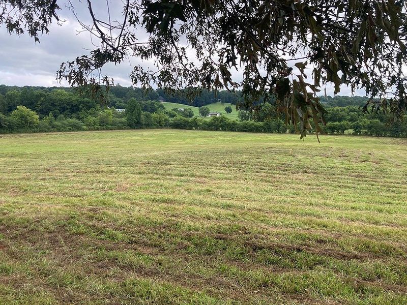 Natural landscape and outdoor views near  in White (Image 83).