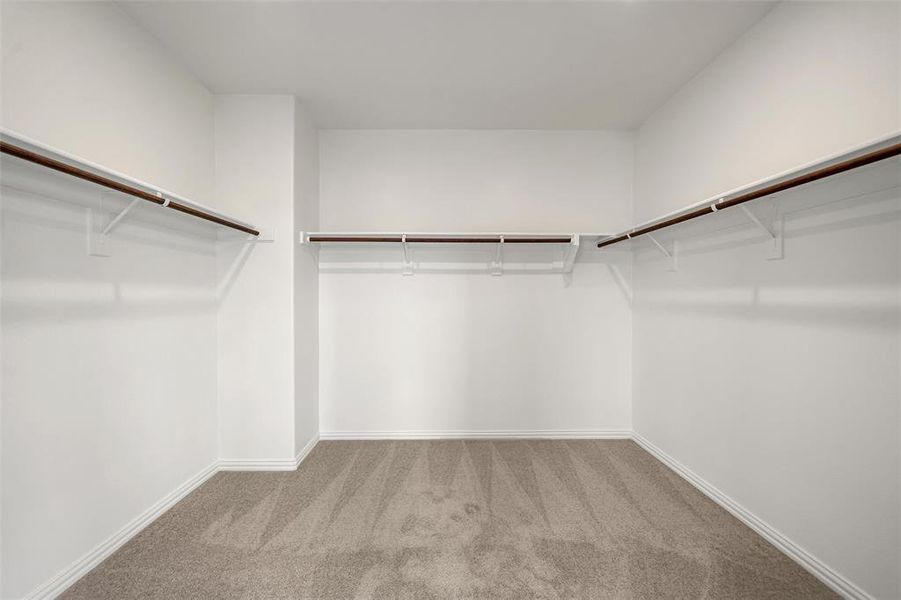 Spacious closet featuring light carpet