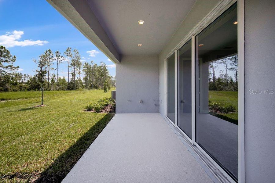 Exterior details and patio area of a home in Hammock at Two Rivers, Zephyrhills (Image 25).