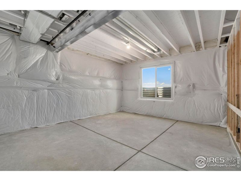 Storage area in Basement