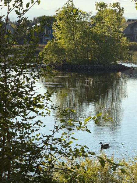 Image 18 of a home in . Image 18 of a home in .